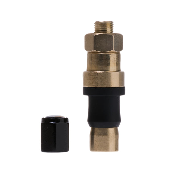 Permanent Tire Valve 2-Pack