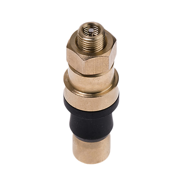 Permanent Tire Valve 2-Pack
