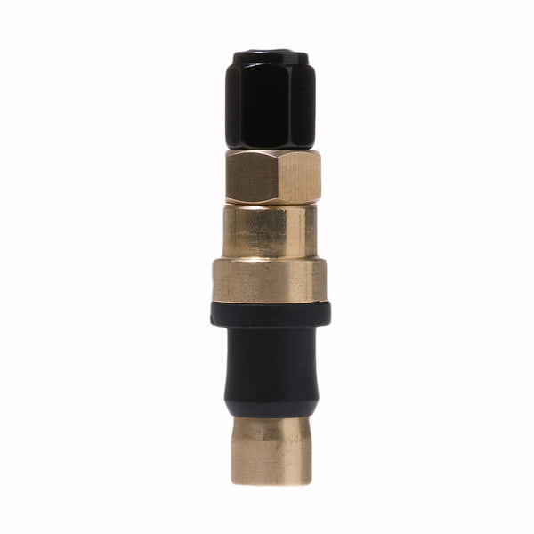 Permanent Tire Valve 2-Pack